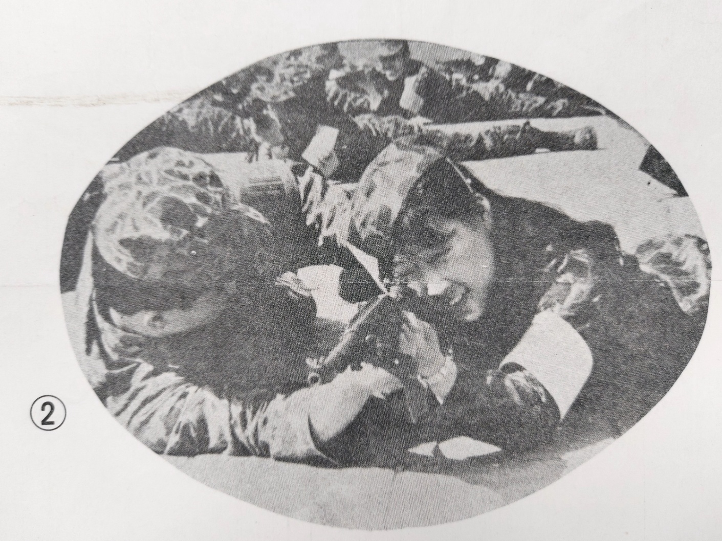 dd430bccd721b04db15e705bf8318542_1702484694_8817.jpg dd430bccd721b04db15e705bf8318542_1702484694_8817.jpg