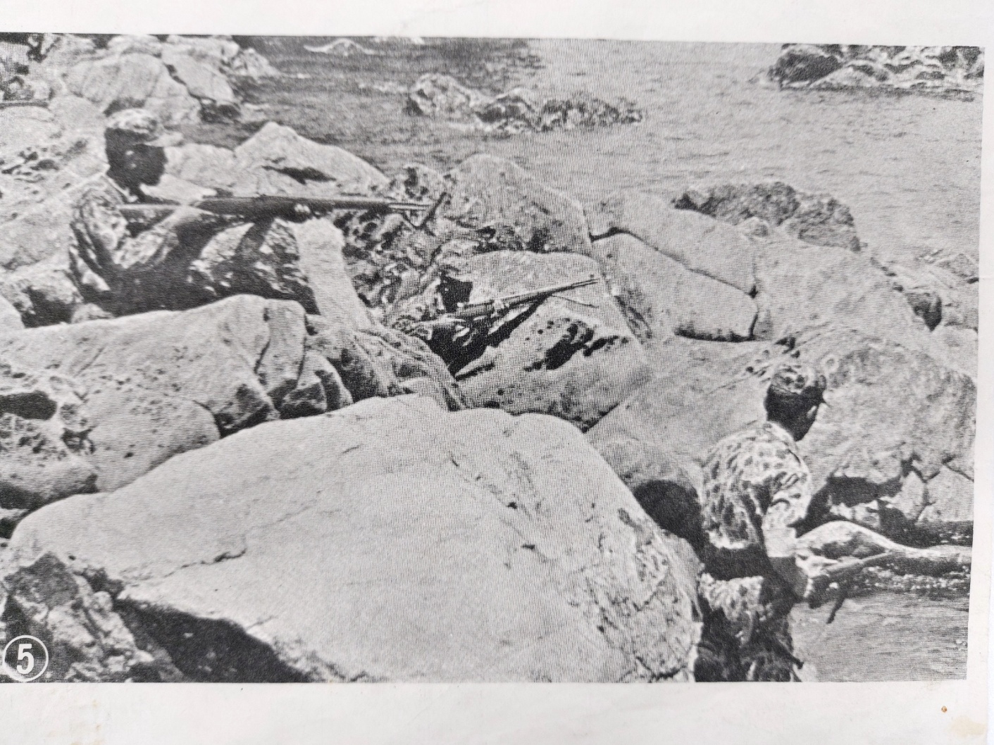 dd430bccd721b04db15e705bf8318542_1702484695_3064.jpg dd430bccd721b04db15e705bf8318542_1702484695_3064.jpg