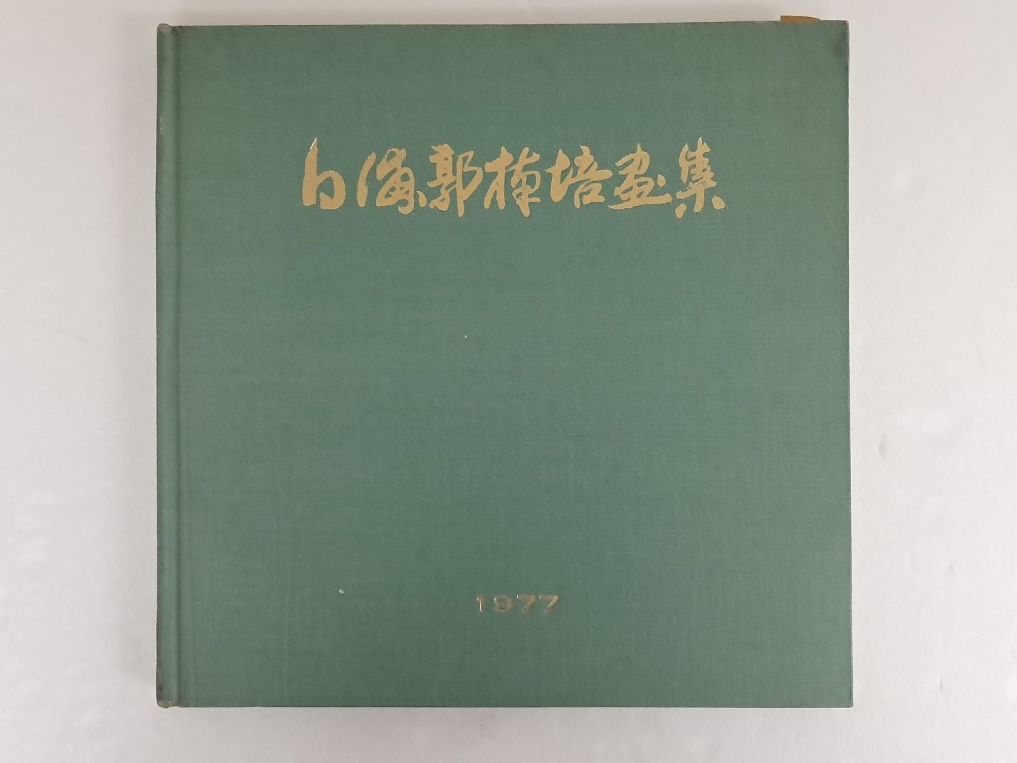 d74112c9780d1f7459eaeb0707231d34_1713444655_8847.jpg