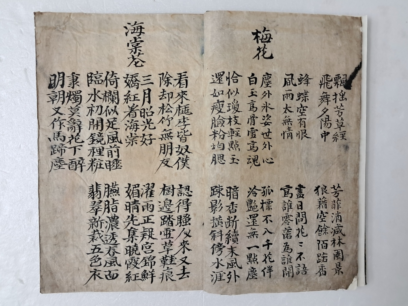 64c9ee0cad990dfbc6fe361caf077c83_1719490803_8766.jpg 64c9ee0cad990dfbc6fe361caf077c83_1719490803_8766.jpg