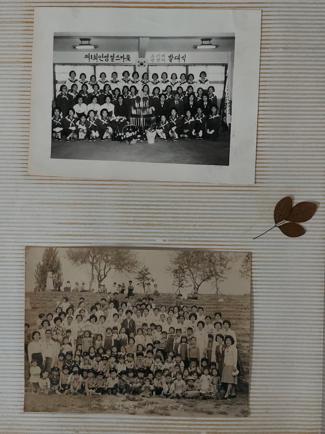 64c9ee0cad990dfbc6fe361caf077c83_1719493728_9955.jpg 64c9ee0cad990dfbc6fe361caf077c83_1719493728_9955.jpg