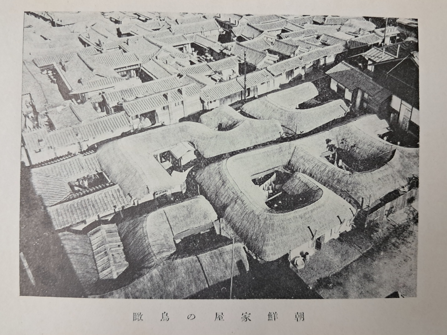 e33088bbe7cfe5a0a46e7987e065e49e_1723125484_821.jpg