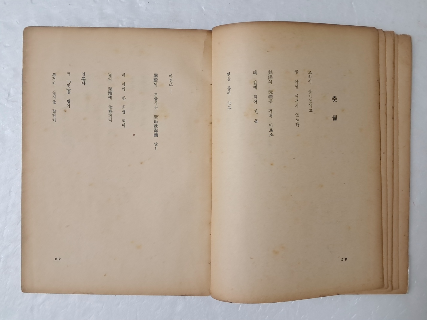 4d61ab3fb617061f8679af2453c17fa2_1726753657_2844.jpg