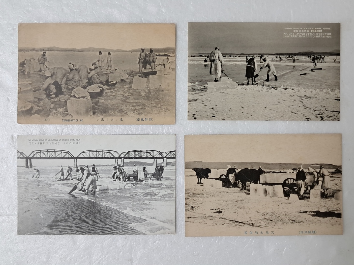 314e32ee96d6fa0f69ffaad525920070_1727964940_8188.jpg 314e32ee96d6fa0f69ffaad525920070_1727964940_8188_1764313788.jpg