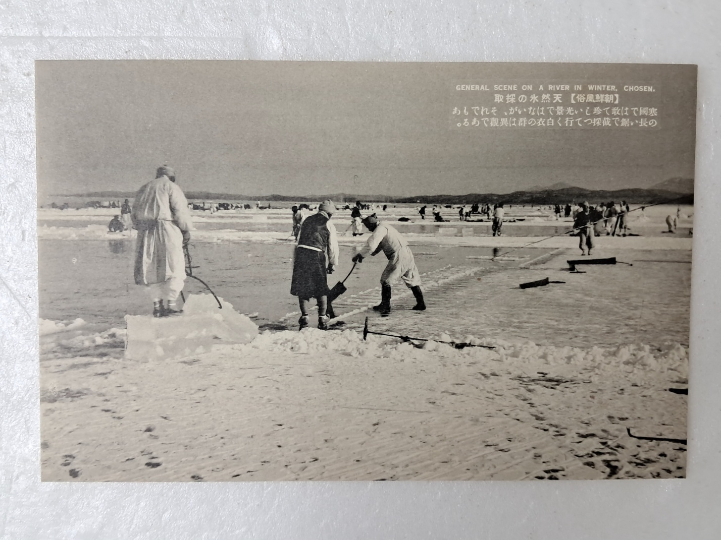 314e32ee96d6fa0f69ffaad525920070_1727964941_2.jpg 314e32ee96d6fa0f69ffaad525920070_1727964941_2_1764313788.jpg