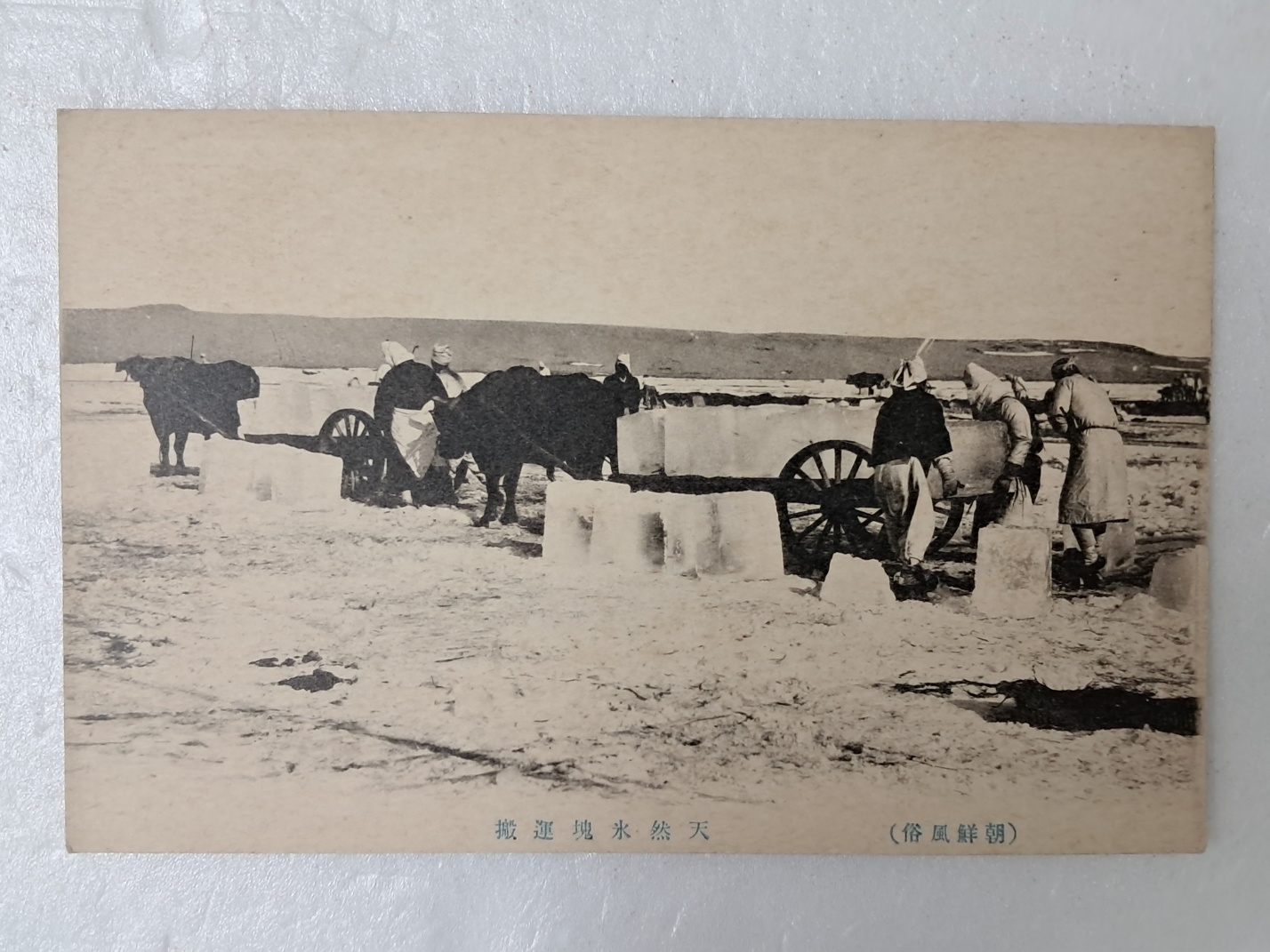 314e32ee96d6fa0f69ffaad525920070_1727964941_4568.jpg 314e32ee96d6fa0f69ffaad525920070_1727964941_4568_1764313788.jpg