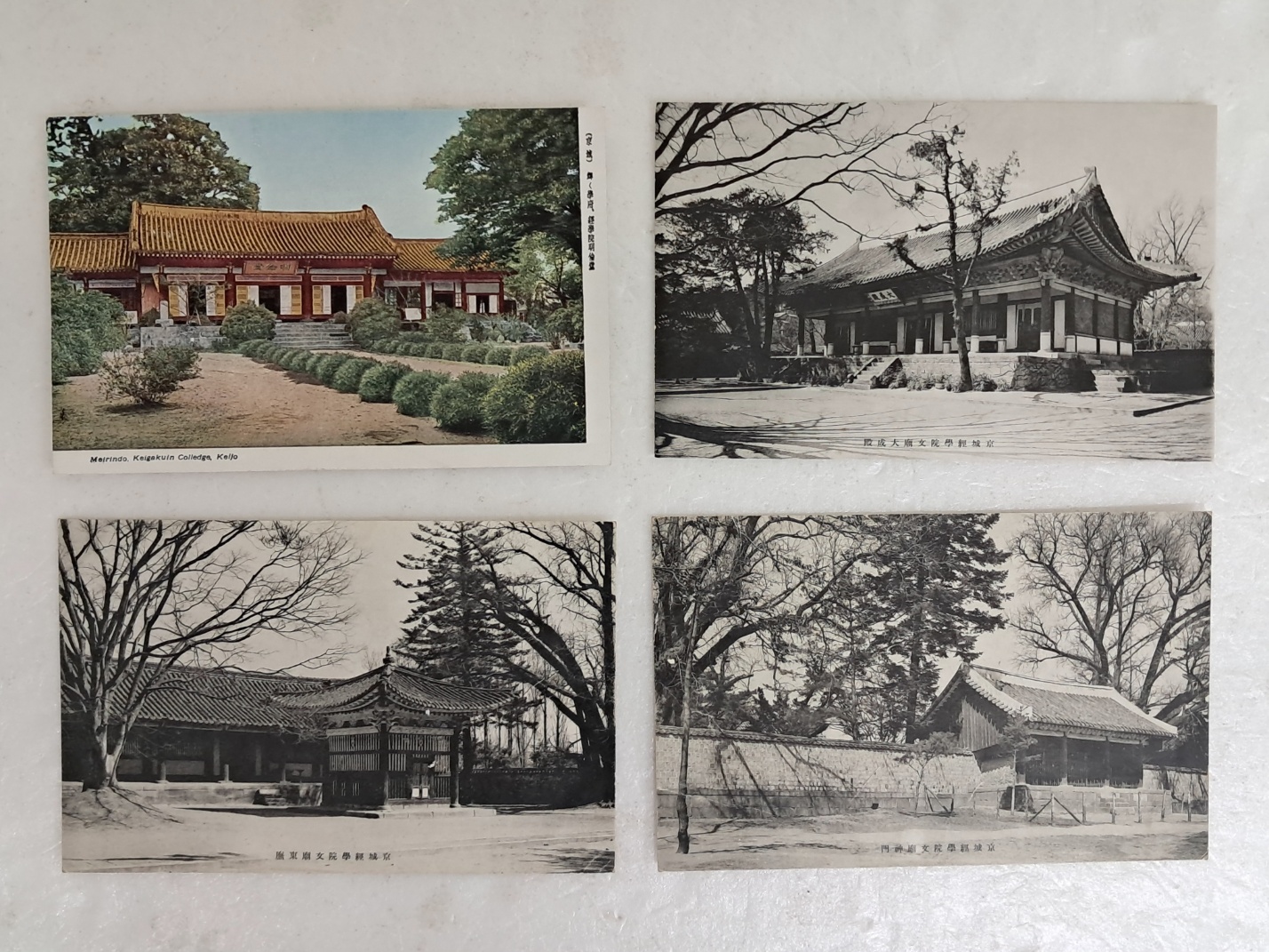 314e32ee96d6fa0f69ffaad525920070_1727965538_8178.jpg 314e32ee96d6fa0f69ffaad525920070_1727965538_8178.jpg