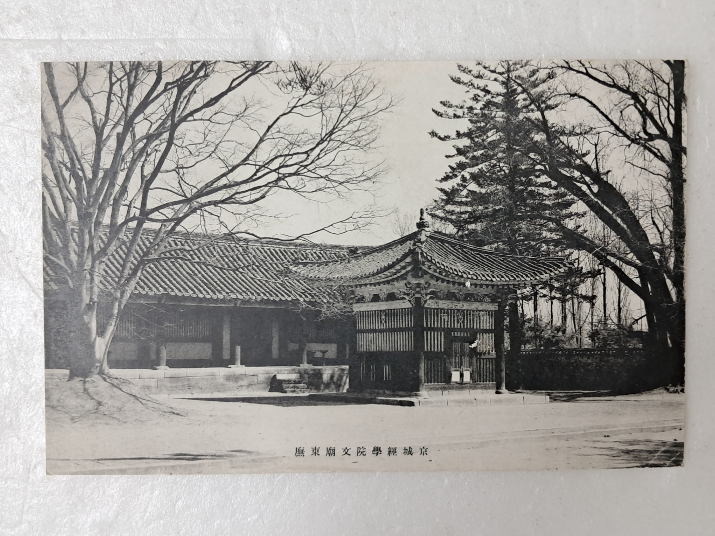 314e32ee96d6fa0f69ffaad525920070_1727965539_2197.jpg 314e32ee96d6fa0f69ffaad525920070_1727965539_2197.jpg