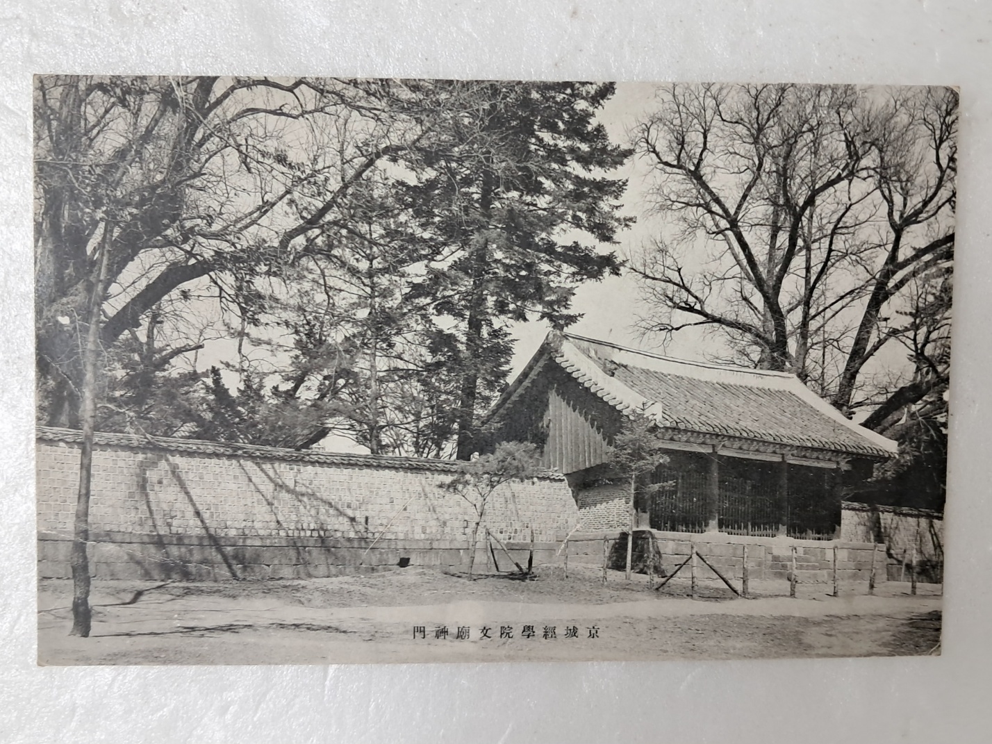 314e32ee96d6fa0f69ffaad525920070_1727965539_4619.jpg 314e32ee96d6fa0f69ffaad525920070_1727965539_4619.jpg