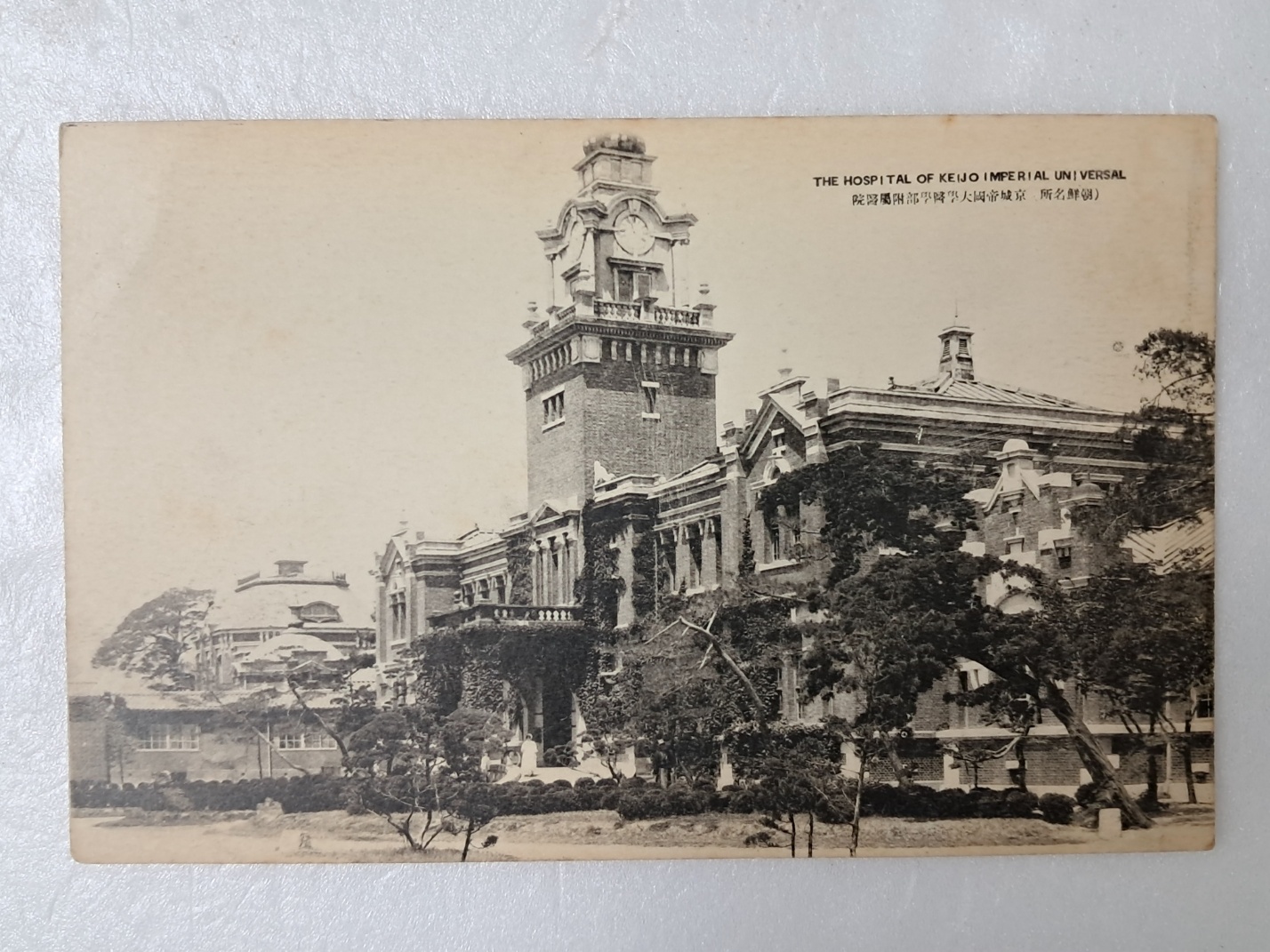 314e32ee96d6fa0f69ffaad525920070_1727965570_0496.jpg 314e32ee96d6fa0f69ffaad525920070_1727965570_0496.jpg