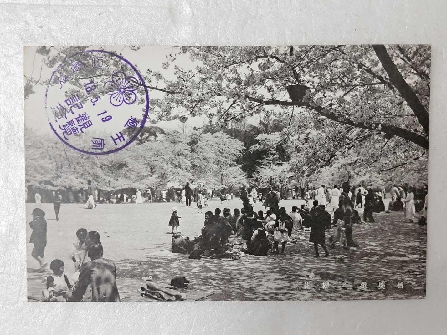 314e32ee96d6fa0f69ffaad525920070_1727965615_8206.jpg 314e32ee96d6fa0f69ffaad525920070_1727965615_8206.jpg