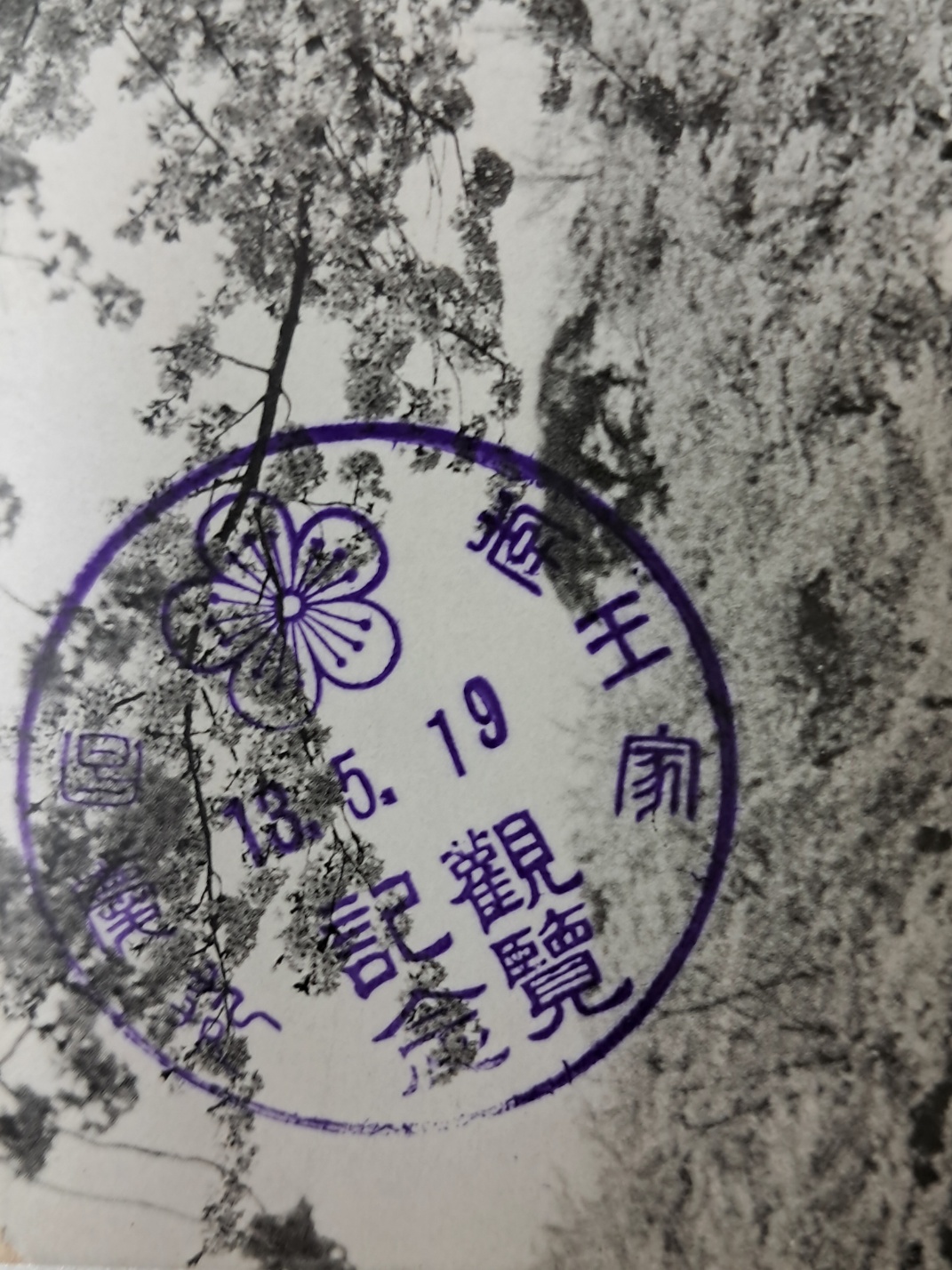 314e32ee96d6fa0f69ffaad525920070_1727965615_9561.jpg 314e32ee96d6fa0f69ffaad525920070_1727965615_9561.jpg