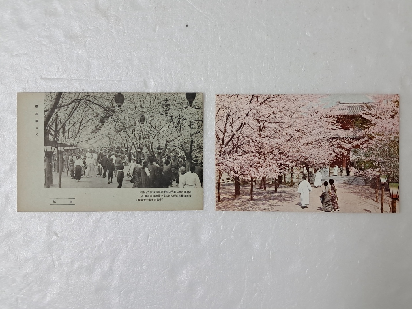 314e32ee96d6fa0f69ffaad525920070_1727965616_081.jpg 314e32ee96d6fa0f69ffaad525920070_1727965616_081.jpg