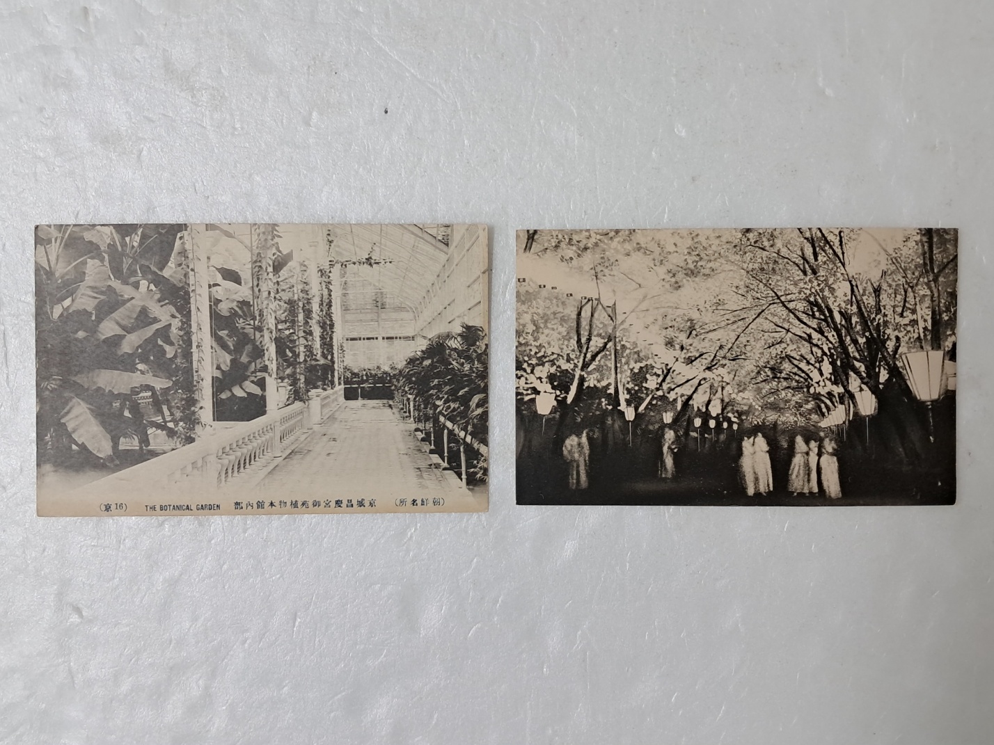 314e32ee96d6fa0f69ffaad525920070_1727965616_2097.jpg 314e32ee96d6fa0f69ffaad525920070_1727965616_2097.jpg