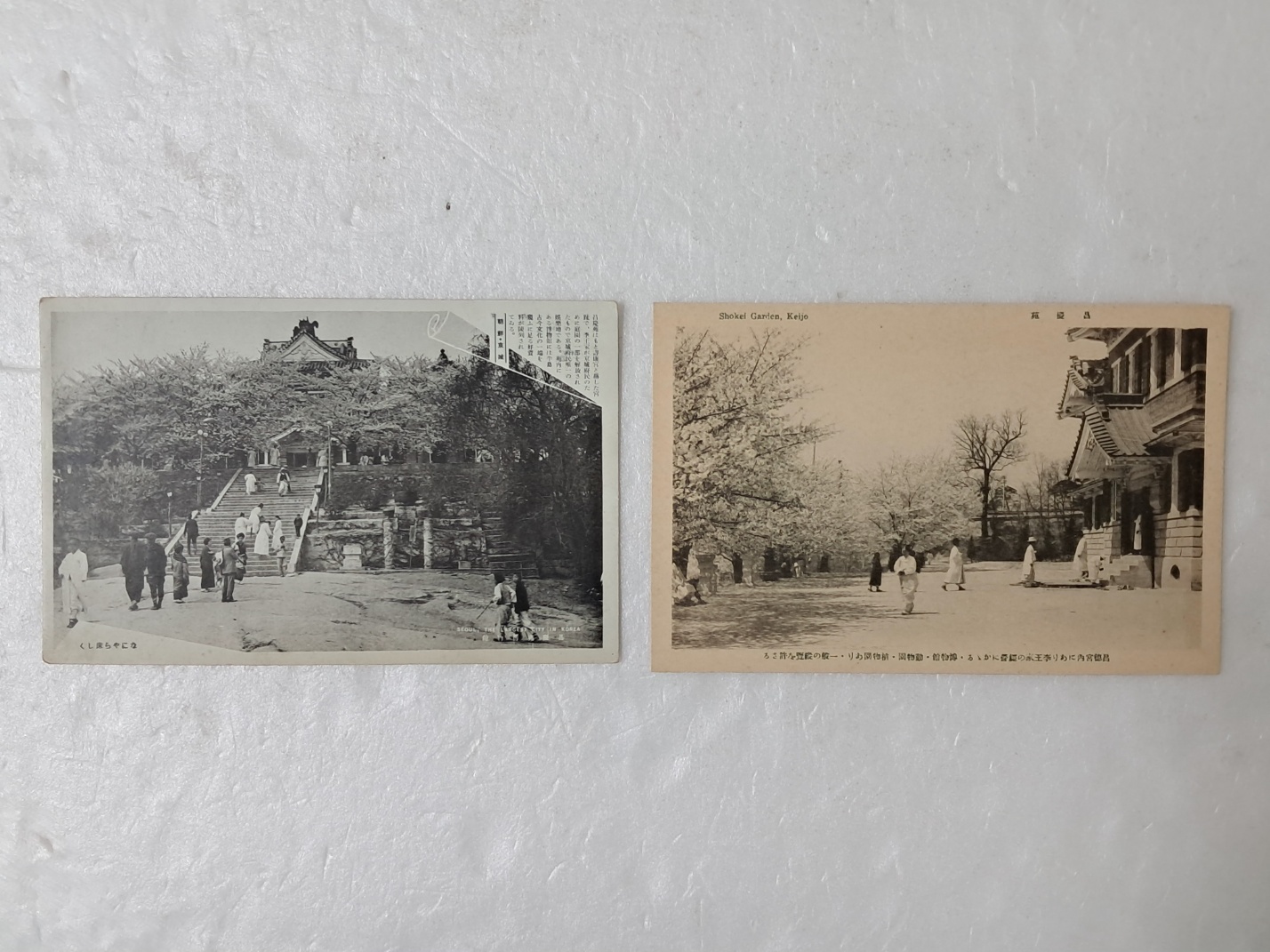 314e32ee96d6fa0f69ffaad525920070_1727965616_3329.jpg 314e32ee96d6fa0f69ffaad525920070_1727965616_3329.jpg