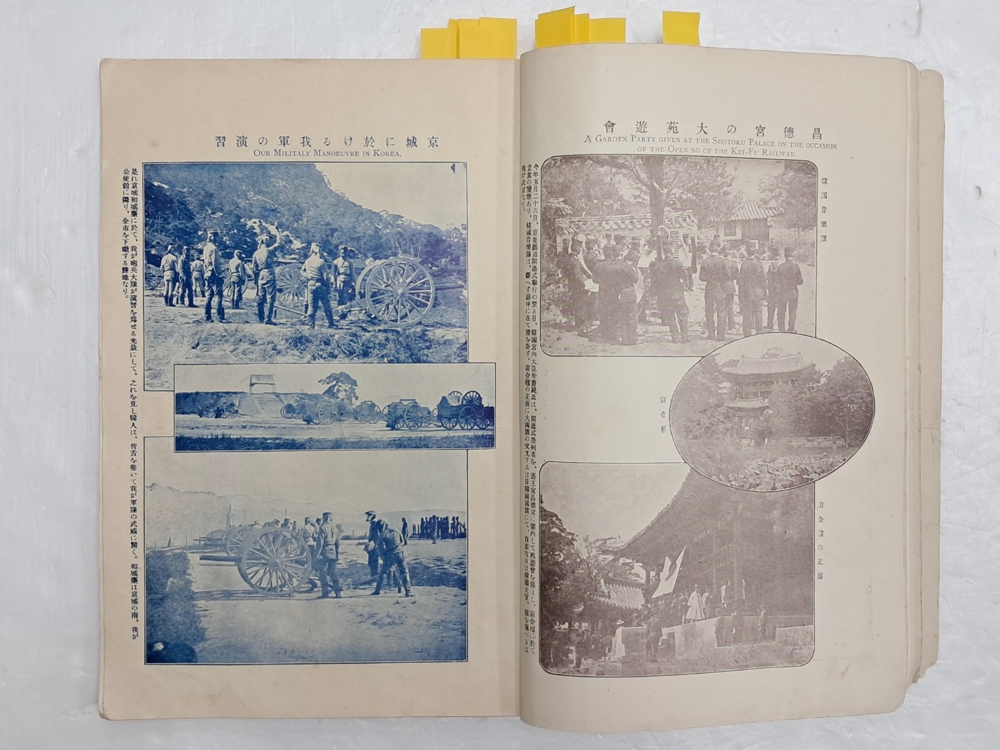 314e32ee96d6fa0f69ffaad525920070_1727967348_9485.jpg 314e32ee96d6fa0f69ffaad525920070_1727967348_9485.jpg