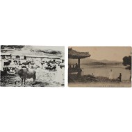 [148] 수원 ‘우시장(牛市場)’과 ‘서호(西湖)’ 사진엽서