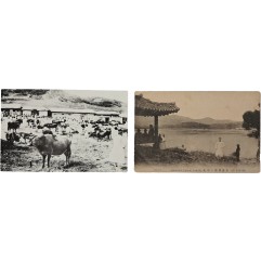 [148] 수원 ‘우시장(牛市場)’과 ‘서호(西湖)’ 사진엽서