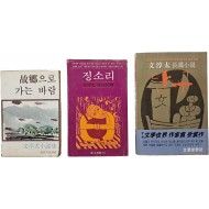 [48] 문순태 소설 3책