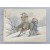 [173] 동양화 서화첩 14점 (지본에 채색)