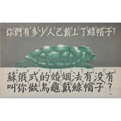 [348] 남생이(거북)
