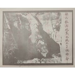 [542] 참호에 숨어도 그를 구할수 없다