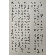 [741] 특별 항복 항소