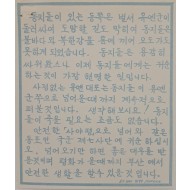 [797] 항복 항소(평화가 올때까지 부산에서 안전한 생활을 할수 있을 것 입니다)