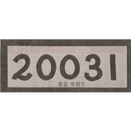 [809] 20031 무슨 숫자 ?